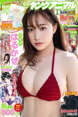 美合是谁